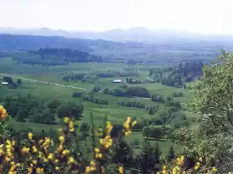 the heart of Oregon countryside